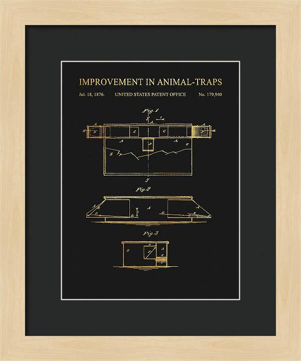 Animal Trap Gold Patent Us179940a
