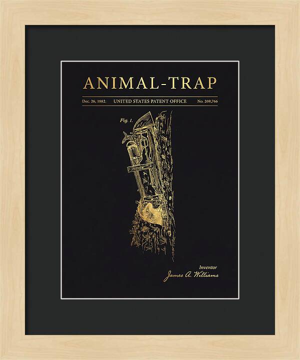 Animal Trap Gold Patent Us269766a