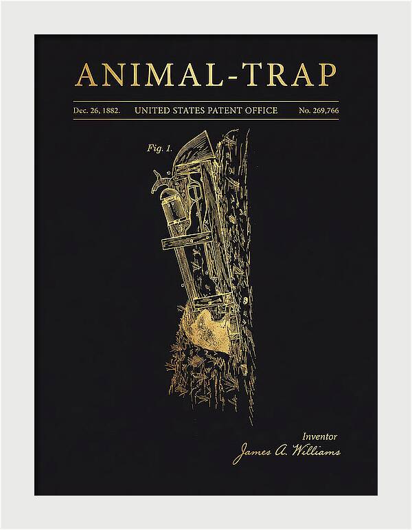 Animal Trap Gold Patent Us269766a