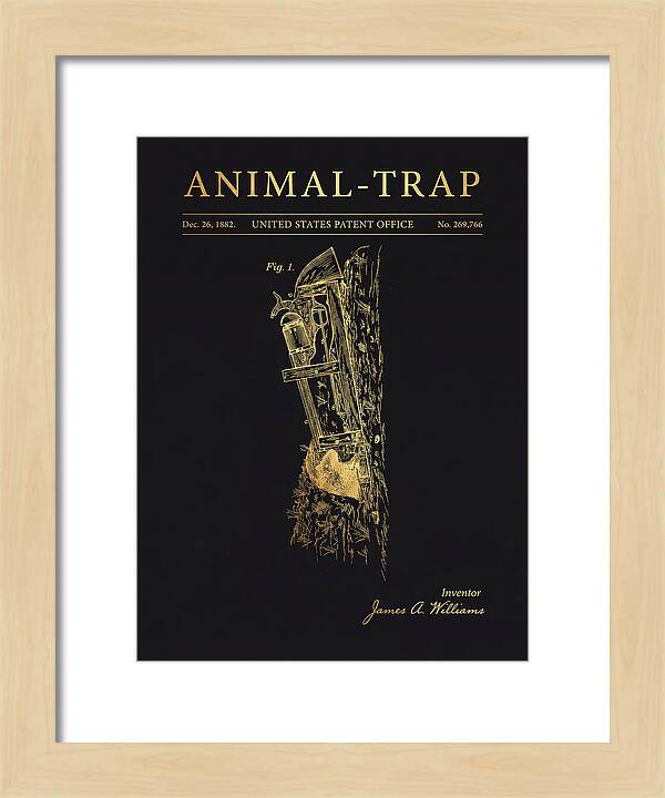 Animal Trap Gold Patent Us269766a