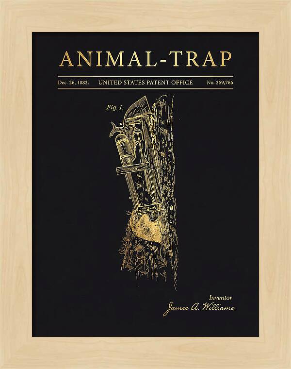 Animal Trap Gold Patent Us269766a