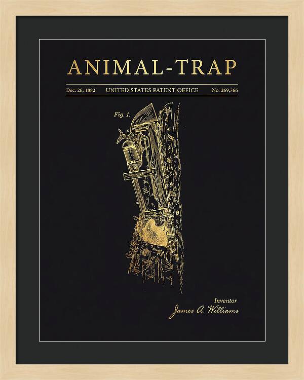 Animal Trap Gold Patent Us269766a