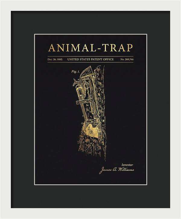 Animal Trap Gold Patent Us269766a