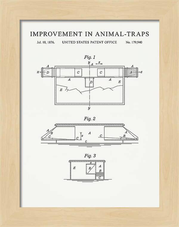 Animal Trap Minimalist Patent Us179940a