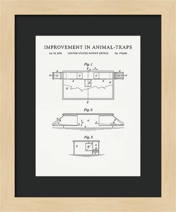 Animal Trap Minimalist Patent Us179940a