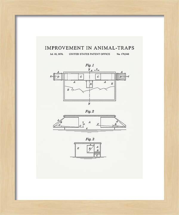Animal Trap Minimalist Patent Us179940a