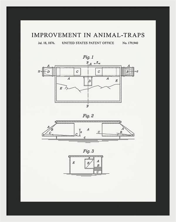 Animal Trap Minimalist Patent Us179940a