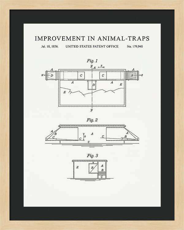 Animal Trap Minimalist Patent Us179940a