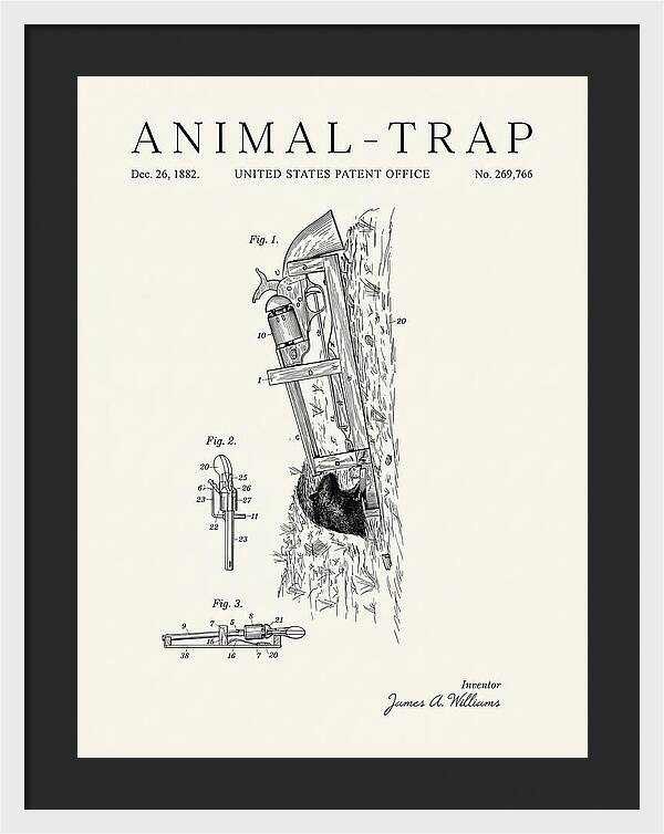 Animal Trap Minimalist Patent Us269766a