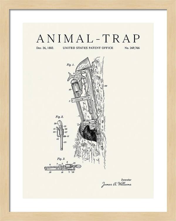 Animal Trap Minimalist Patent Us269766a