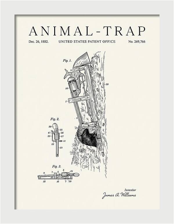 Animal Trap Minimalist Patent Us269766a