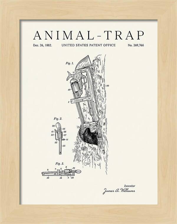 Animal Trap Minimalist Patent Us269766a