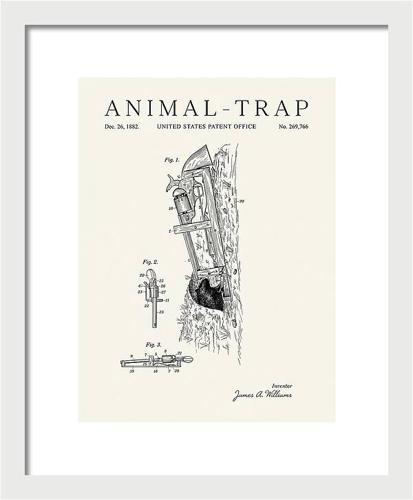 Animal Trap Minimalist Patent Us269766a