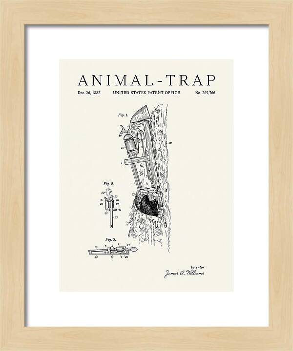 Animal Trap Minimalist Patent Us269766a