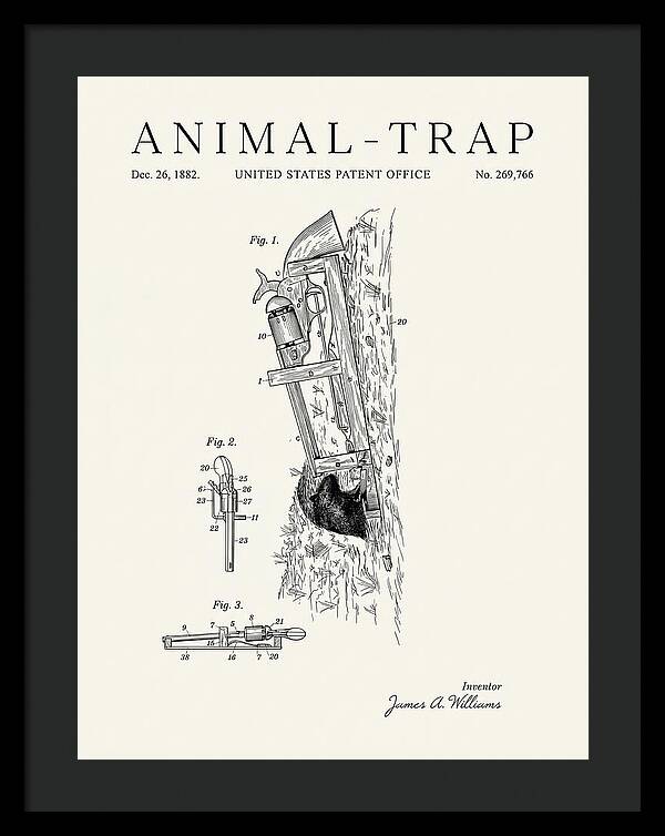 Animal Trap Minimalist Patent Us269766a