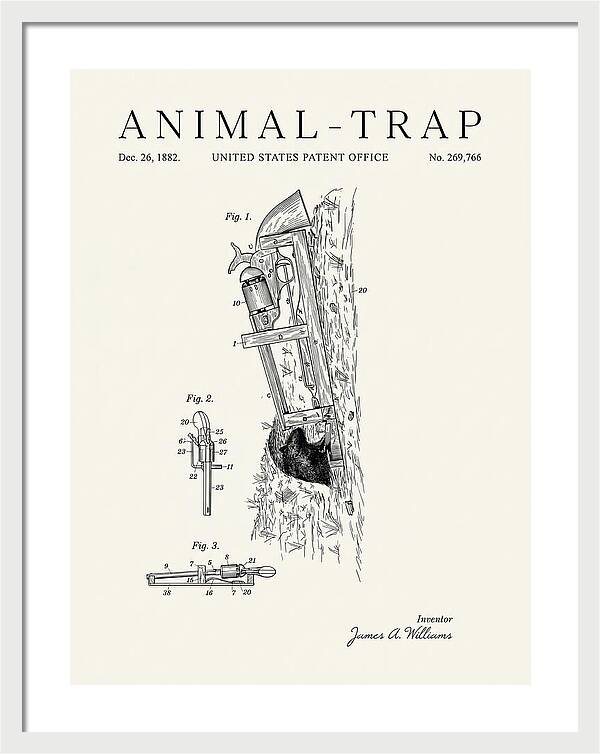 Animal Trap Minimalist Patent Us269766a