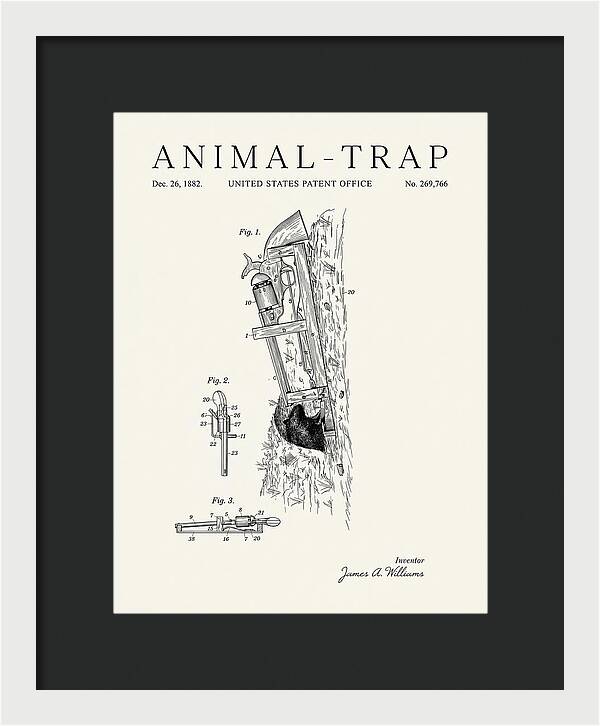 Animal Trap Minimalist Patent Us269766a