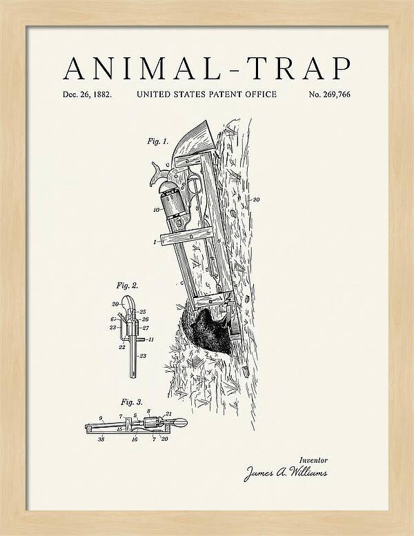 Animal Trap Minimalist Patent Us269766a