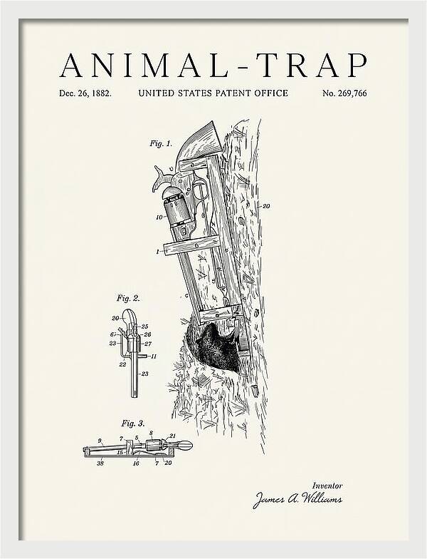 Animal Trap Minimalist Patent Us269766a