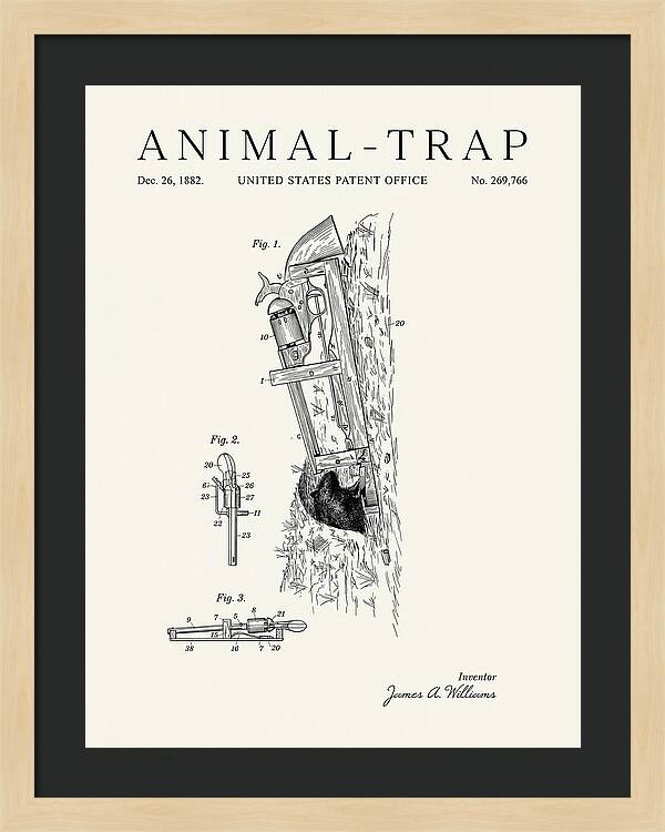 Animal Trap Minimalist Patent Us269766a