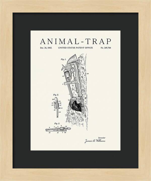 Animal Trap Minimalist Patent Us269766a