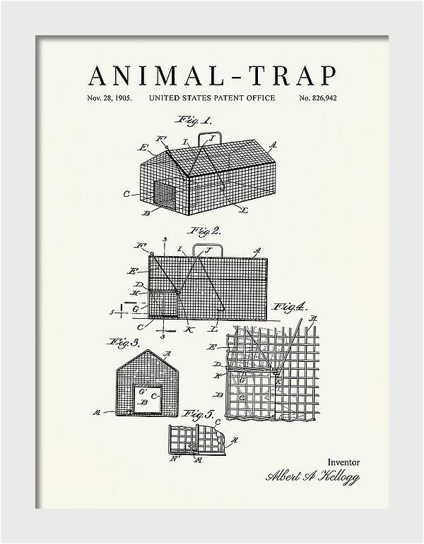 Animal Trap Minimalist Patent Us826942a