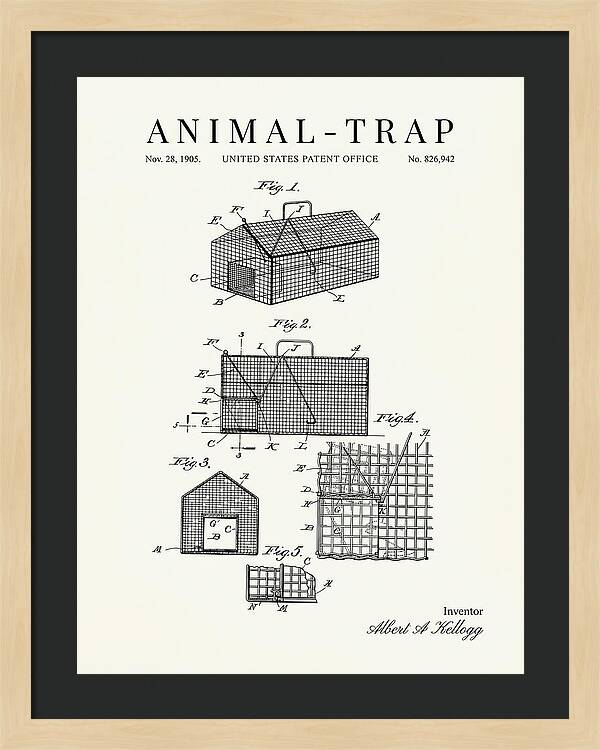 Animal Trap Minimalist Patent Us826942a