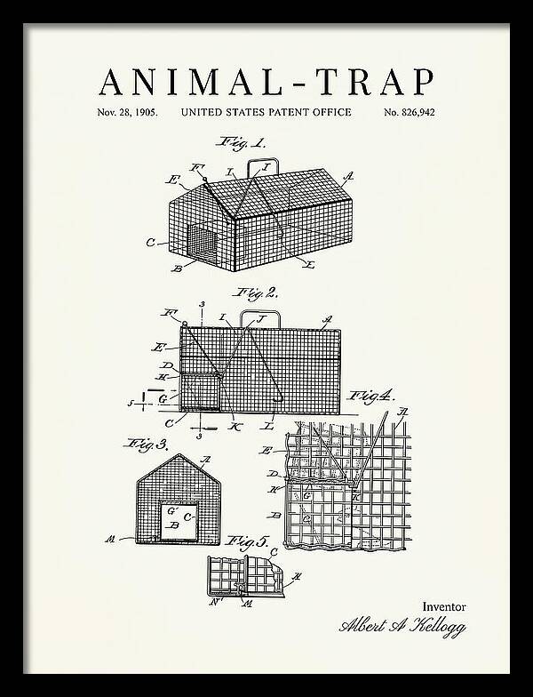 Animal Trap Minimalist Patent Us826942a