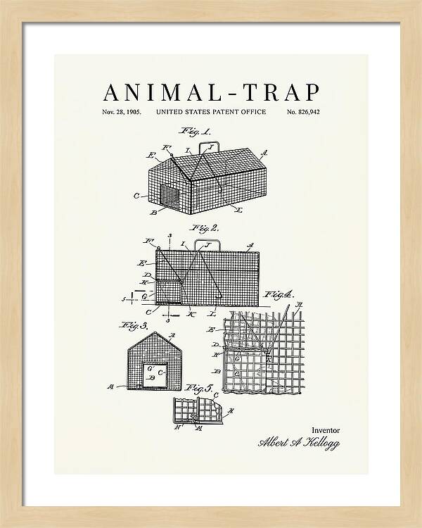 Animal Trap Minimalist Patent Us826942a