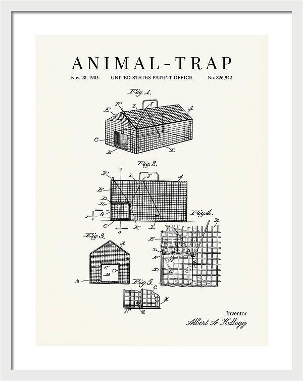 Animal Trap Minimalist Patent Us826942a