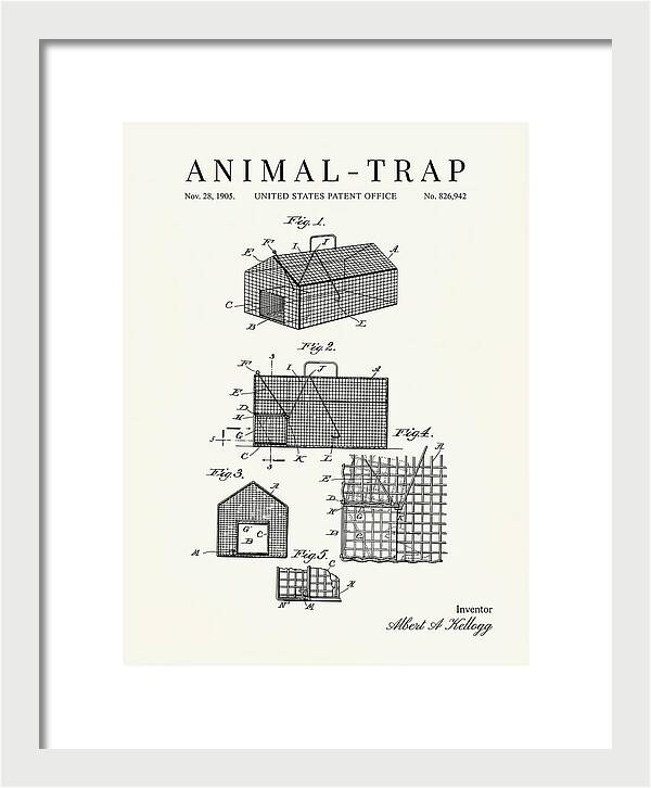 Animal Trap Minimalist Patent Us826942a