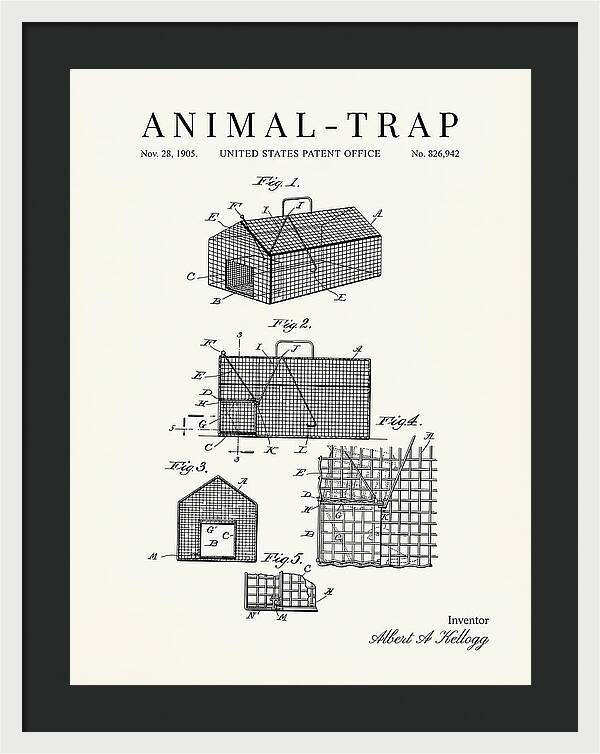 Animal Trap Minimalist Patent Us826942a