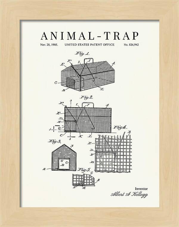 Animal Trap Minimalist Patent Us826942a