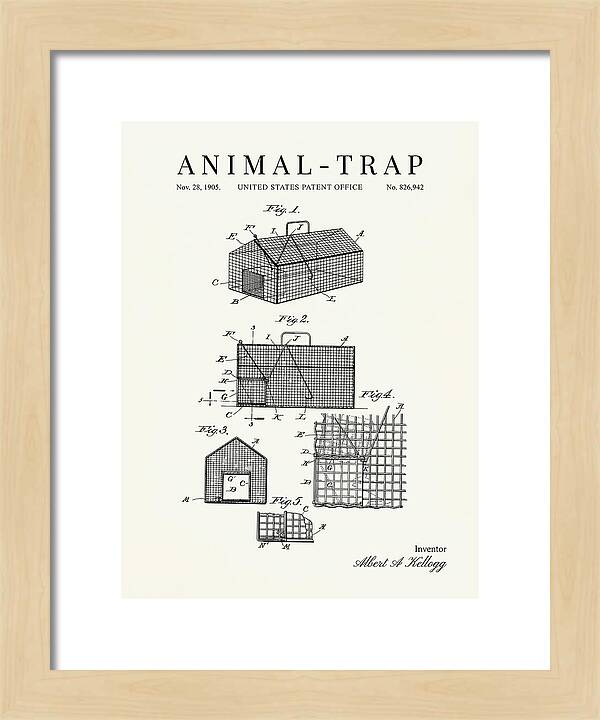 Animal Trap Minimalist Patent Us826942a