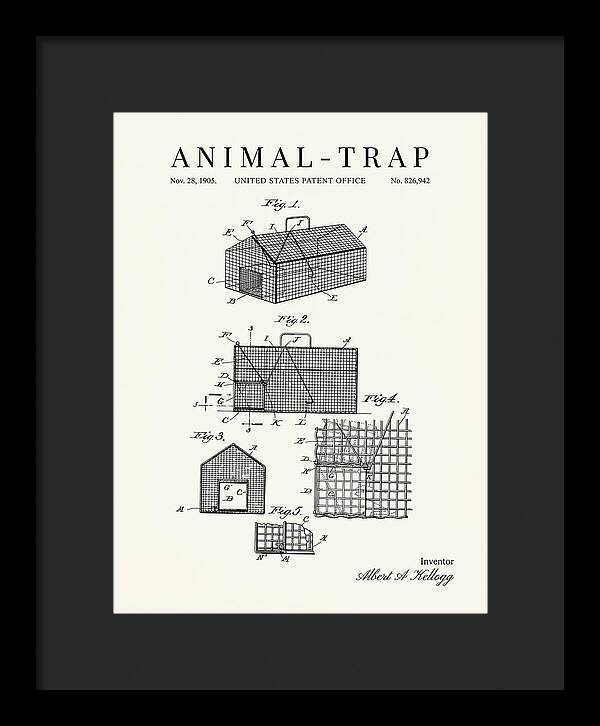 Animal Trap Minimalist Patent Us826942a