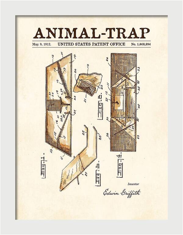 Animal Trap Watercolor Patent Us1068894a