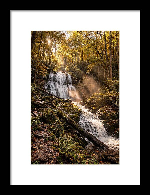 Anna Ruby Falls Serenity