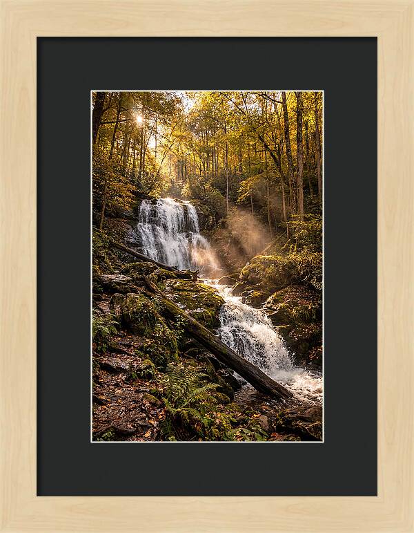 Anna Ruby Falls Serenity
