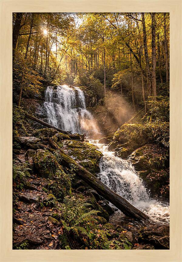Anna Ruby Falls Serenity