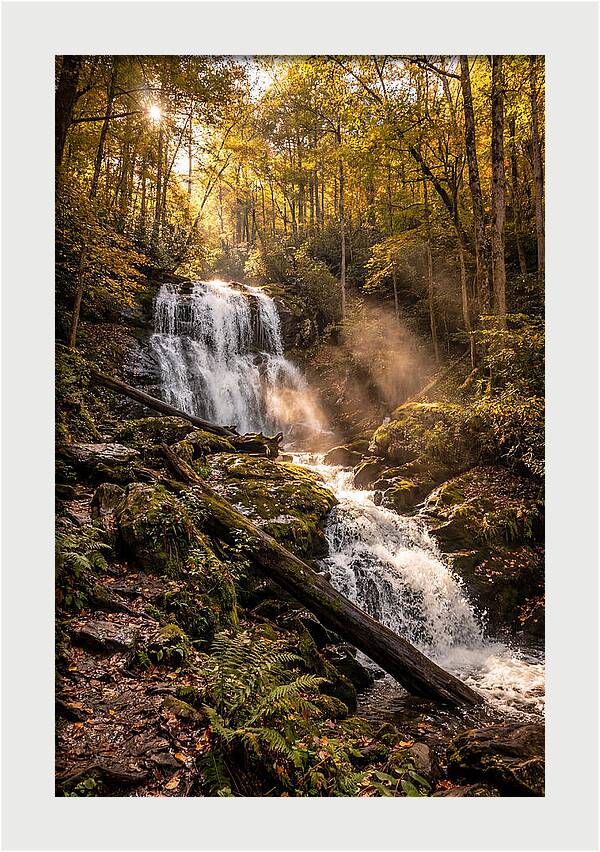 Anna Ruby Falls Serenity