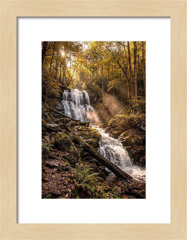 Anna Ruby Falls Serenity