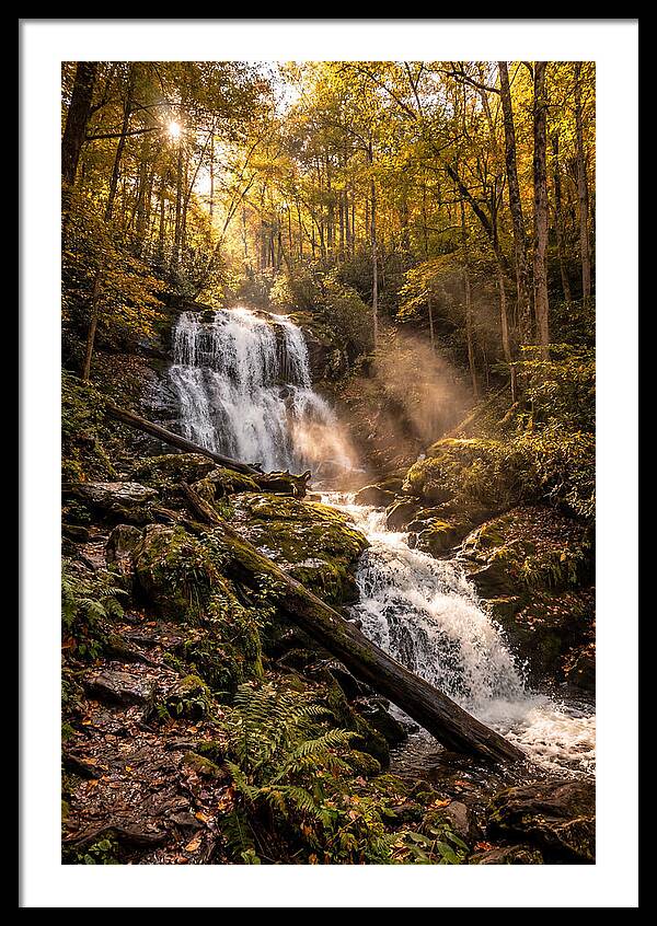 Anna Ruby Falls Serenity
