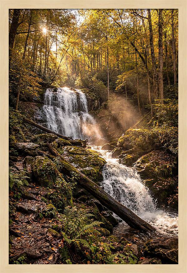 Anna Ruby Falls Serenity