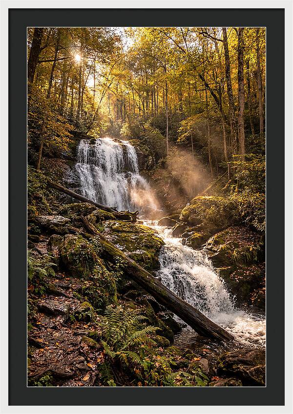 Anna Ruby Falls Serenity