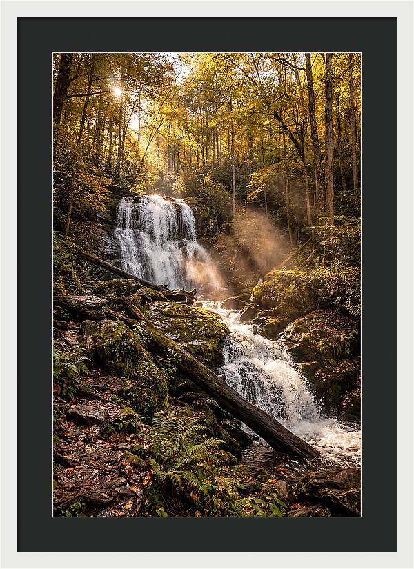 Anna Ruby Falls Serenity