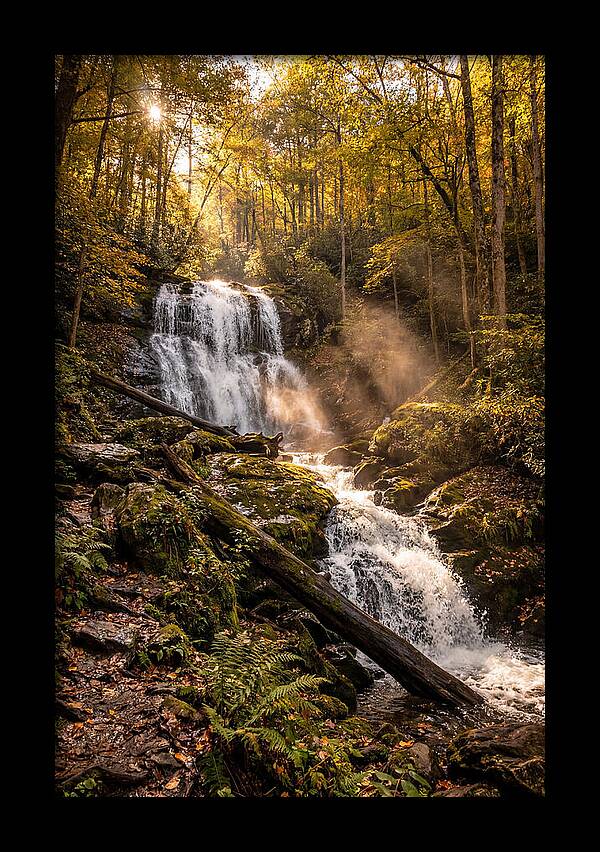 Anna Ruby Falls Serenity