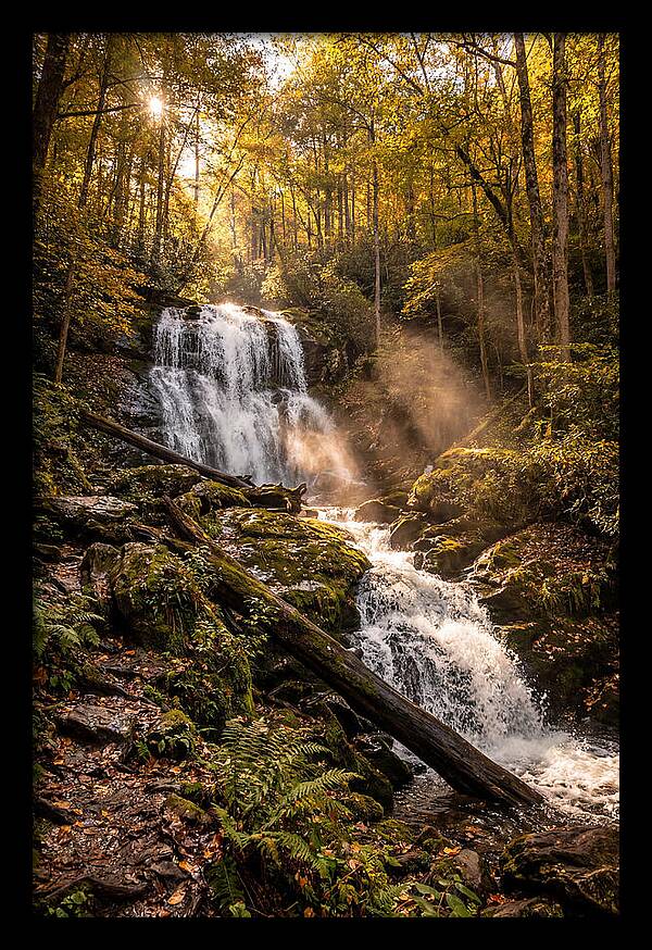 Anna Ruby Falls Serenity