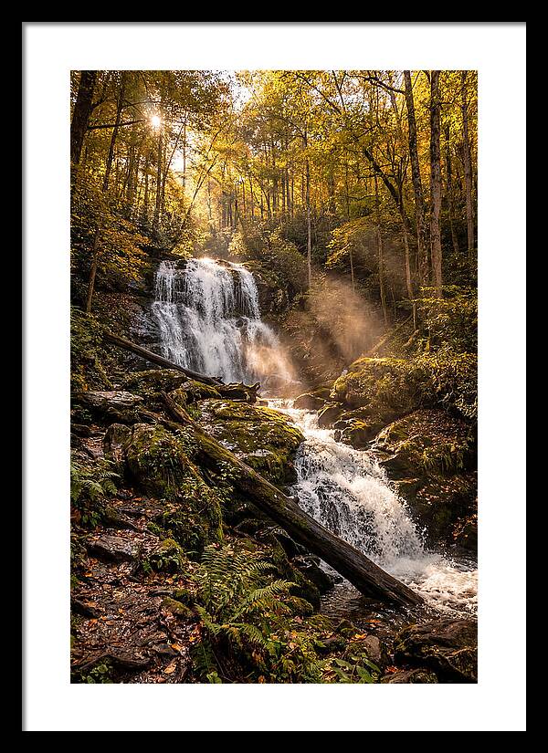 Anna Ruby Falls Serenity