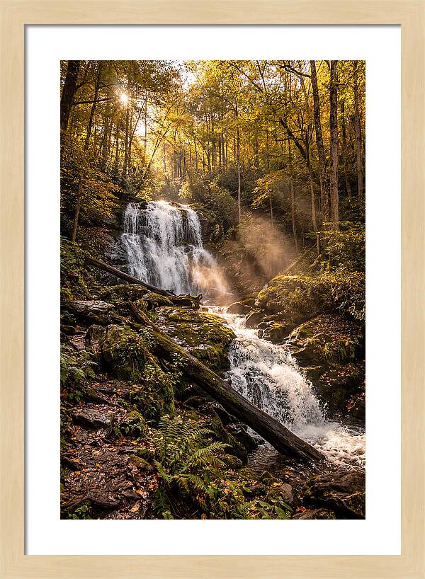 Anna Ruby Falls Serenity