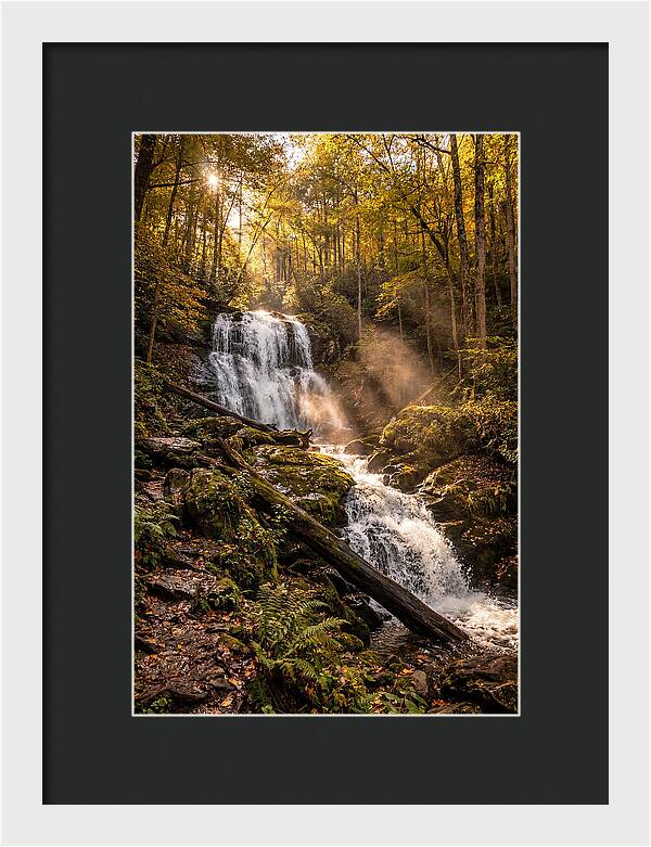 Anna Ruby Falls Serenity